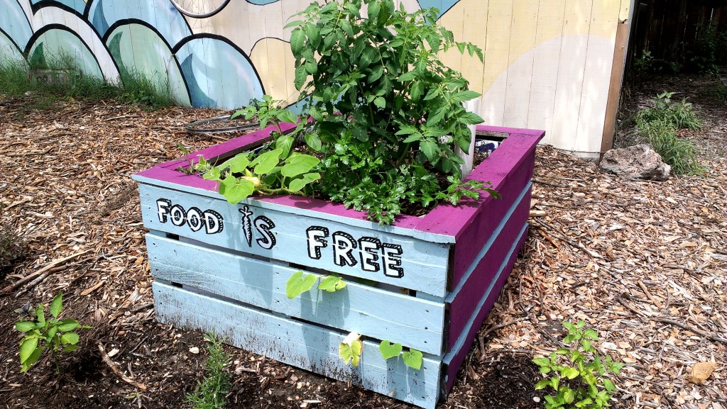 A front yard community garden bed opens the door to community building