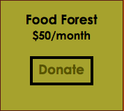 Monthly Sponsor - Food Forest Level