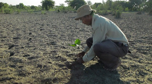 Jadav Payeng forest started with a seedling.